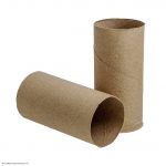 Photo of two toilet rolls