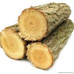 Photo of three wooden logs