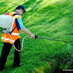 Photo of worker spraying weeds