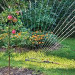 Photo of sprinkler in garden