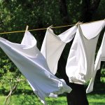 Photo of clothes hung up on line