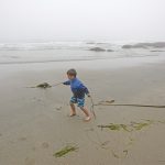 Photo of child playing with kelp on beach