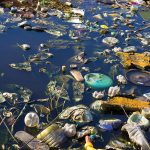 Photo of water polluted with rubbish