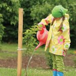 Photo of child watering plant