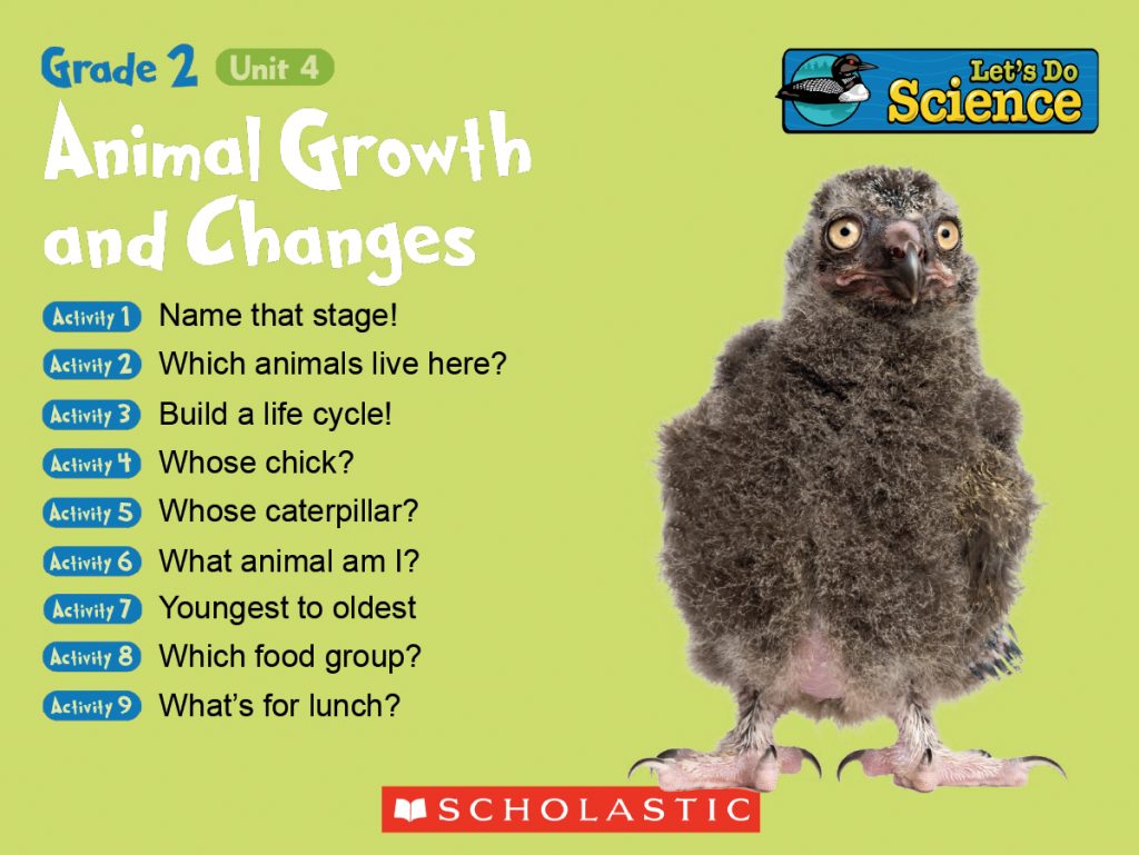 Image of IWB Activities home page with title, list of activities, and photo of bird