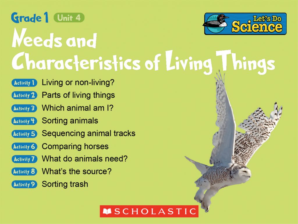 Image of IWB Activities home page with title, list of activities, and photo of snowy owl