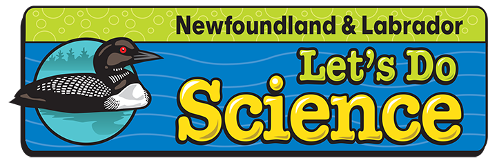 Illustrated logo with program name and loon to left